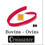 Bovins Croissance de la Vienne